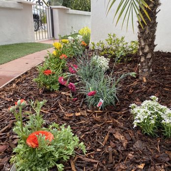 SimpleScape Lawn & Garden Maintenance - Front bed - Masonry/Concrete Near Me SimpleScape Lawn & Garden Maintenance - Front bed - Masonry/Concrete Near Me