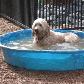 Loring Park - Loring Park dog park. - Dog Parks Near Me - Minneapolis, Minnesota