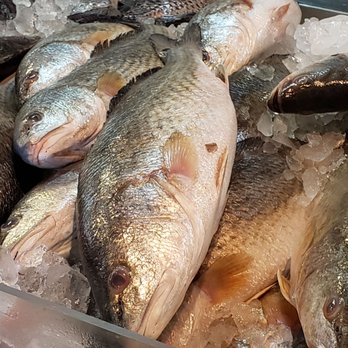 Pier 8 - Seafood Markets Near Me - Seabrook, Texas Pier 8 - Seafood Markets Near Me - Seabrook, Texas
