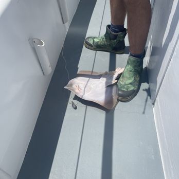 Miss Ocean City - Caught a skate on accident! - Fishing Near Me - Ocean City, Maryland Miss Ocean City - Caught a skate on accident! - Fishing Near Me - Ocean City, Maryland