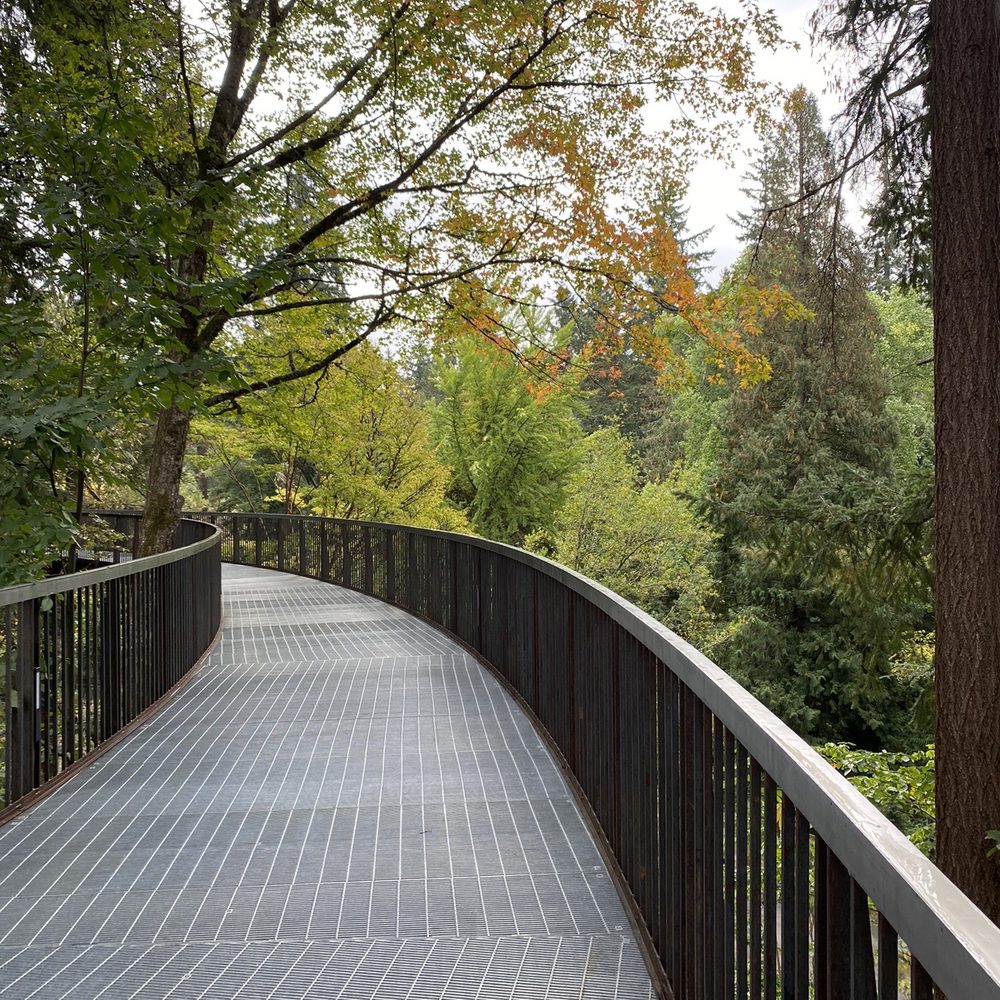 Leach Botanical Garden - Tree walk - Botanical Gardens Near Me - Portland, Oregon