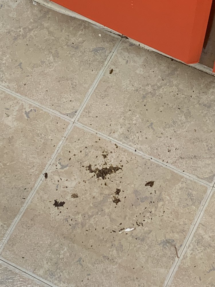 WORTHINGTON AT BELTWAY Updated July 2024 1350 Greens Pkwy, Houston