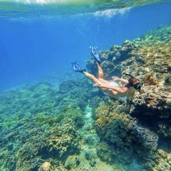 Boss Frog's Snorkel, Bike & Beach Rentals