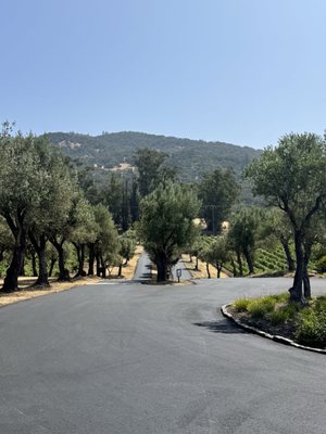 Sonoma Valley Wine Trolley by null