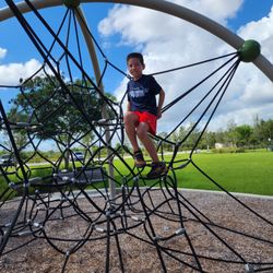Tree Island Park
