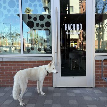 Hachiko Sushi House - Sushi Bars Near Me - Phoenix, Arizona Hachiko Sushi House - Sushi Bars Near Me - Phoenix, Arizona