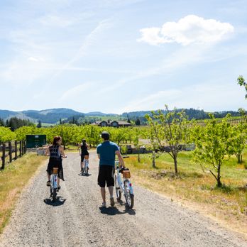 MountNbarreL - Wine Tours Near Me - Hood River, Oregon MountNbarreL - Wine Tours Near Me - Hood River, Oregon