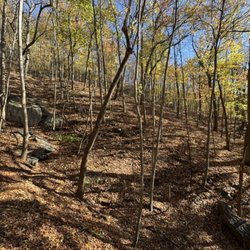 Fortunes Cove Preserve