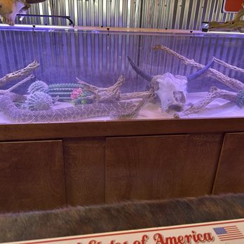 The Big Texan Steak Ranch - Live enormous rattle snake - Steakhouses Near Me - Amarillo, Texas The Big Texan Steak Ranch - Live enormous rattle snake - Steakhouses Near Me - Amarillo, Texas
