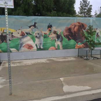 The Animal Keeper - Fun fenced play area - Pet Sitting Near Me - Poway, California The Animal Keeper - Fun fenced play area - Pet Sitting Near Me - Poway, California
