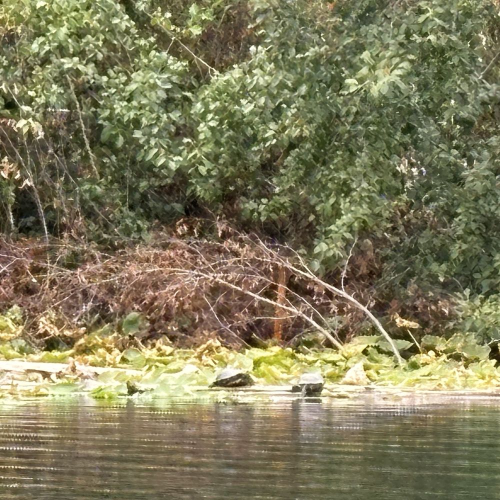 Angle Lake Park - Parks Near Me - SeaTac, Washington