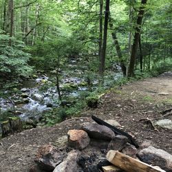 Crabtree Falls Campground - Firepit at campsite 31