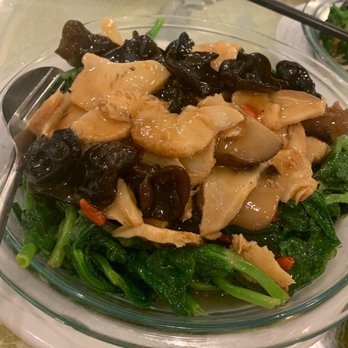 Po Kong Vegetarian Restaurant - Monkey head mushroom over pea shoots - Dim Sum Near Me - Vancouver, British Columbia Po Kong Vegetarian Restaurant - Monkey head mushroom over pea shoots - Dim Sum Near Me - Vancouver, British Columbia