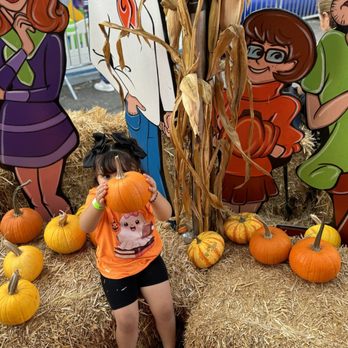 Fallstivities Pumpkin Patch - Pumpkin Patches Near Me - Cerritos, California Fallstivities Pumpkin Patch - Pumpkin Patches Near Me - Cerritos, California