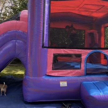 Funjump408 - Bounce House Rentals Near Me Funjump408 - Bounce House Rentals Near Me