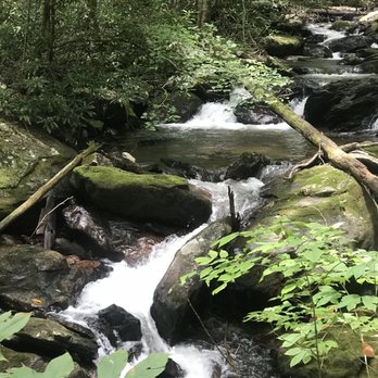 Anna Ruby Falls - Hiking Near Me - White, Georgia Anna Ruby Falls - Hiking Near Me - White, Georgia
