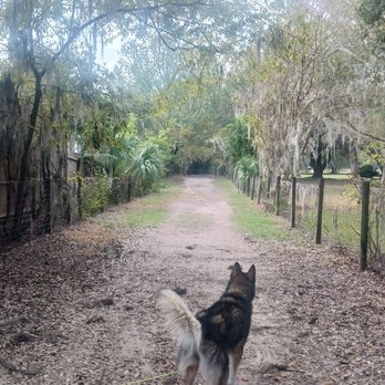 Squirrel Ridge Park - The long walk - Parks Near Me - Gainesville, Florida