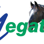 Megatape