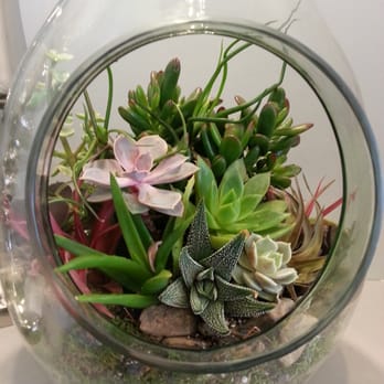 Shu's Flowers - Florists Near Me - New York, New York Shu's Flowers - Florists Near Me - New York, New York