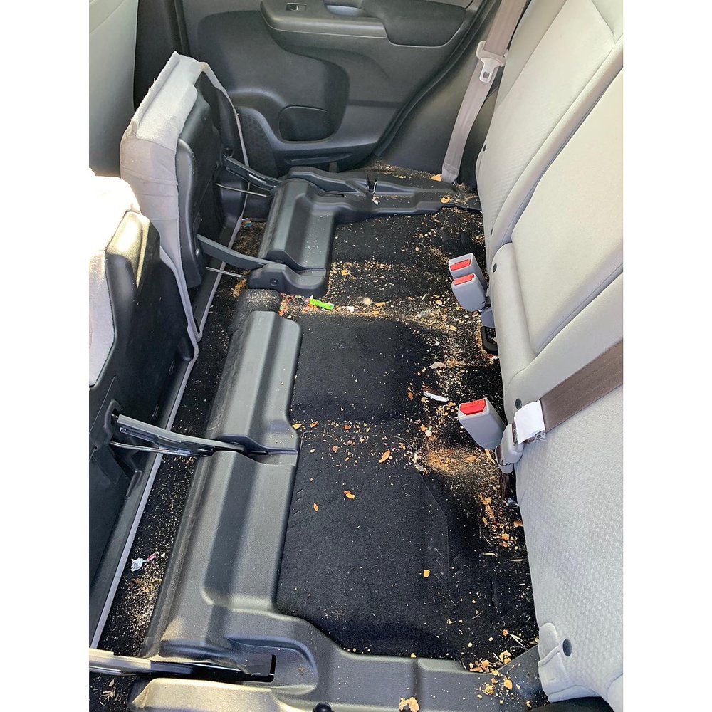 ROYAL EXPERIENCE DETAILING 17 Photos 3317 Lakeland Way, Elk Grove