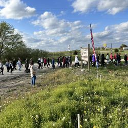 Z&M Twisted Vines Vineyard - 5K. Wine run.