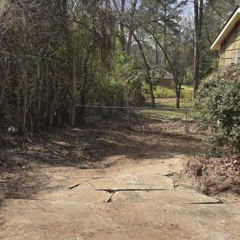 Southern Removal - Tree Services Near Me - Flowood, Mississippi Southern Removal - Tree Services Near Me - Flowood, Mississippi