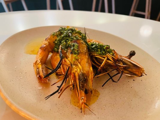 Maty's by null Maty's by null