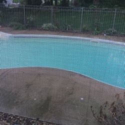 Bontrager Pools - Today 4 days later.