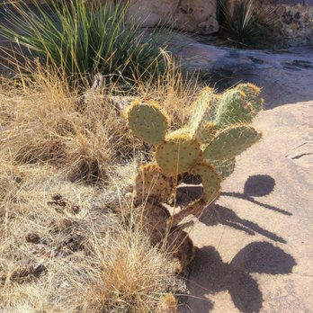 Hueco Tanks State Historic Site - Hiking Near Me - El Paso, Texas Hueco Tanks State Historic Site - Hiking Near Me - El Paso, Texas