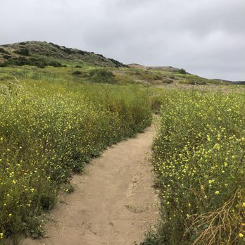Bommer Canyon - Hiking Near Me - Irvine, California