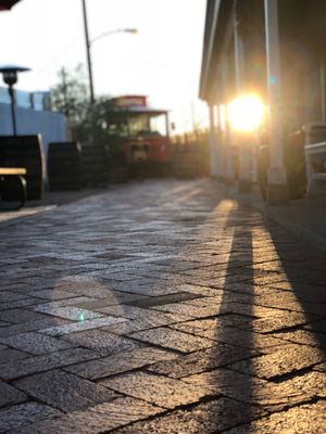 Painted Lady Bed & Brew by null