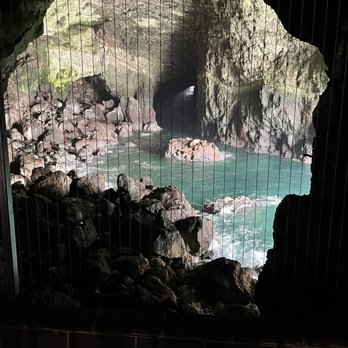 Sea Lion Caves - View of the sea cave. Sea Lions are closer than they appear in this shot. - Active Life Near Me - Florence, Oregon Sea Lion Caves - View of the sea cave. Sea Lions are closer than they appear in this shot. - Active Life Near Me - Florence, Oregon