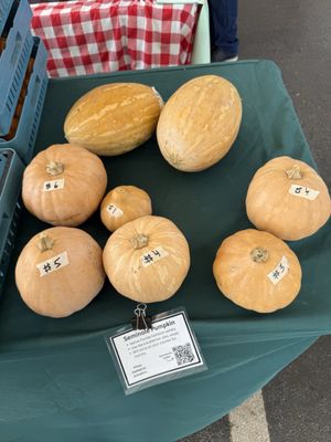 Alachua County Farmers' Market by null