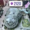 2120 gift card