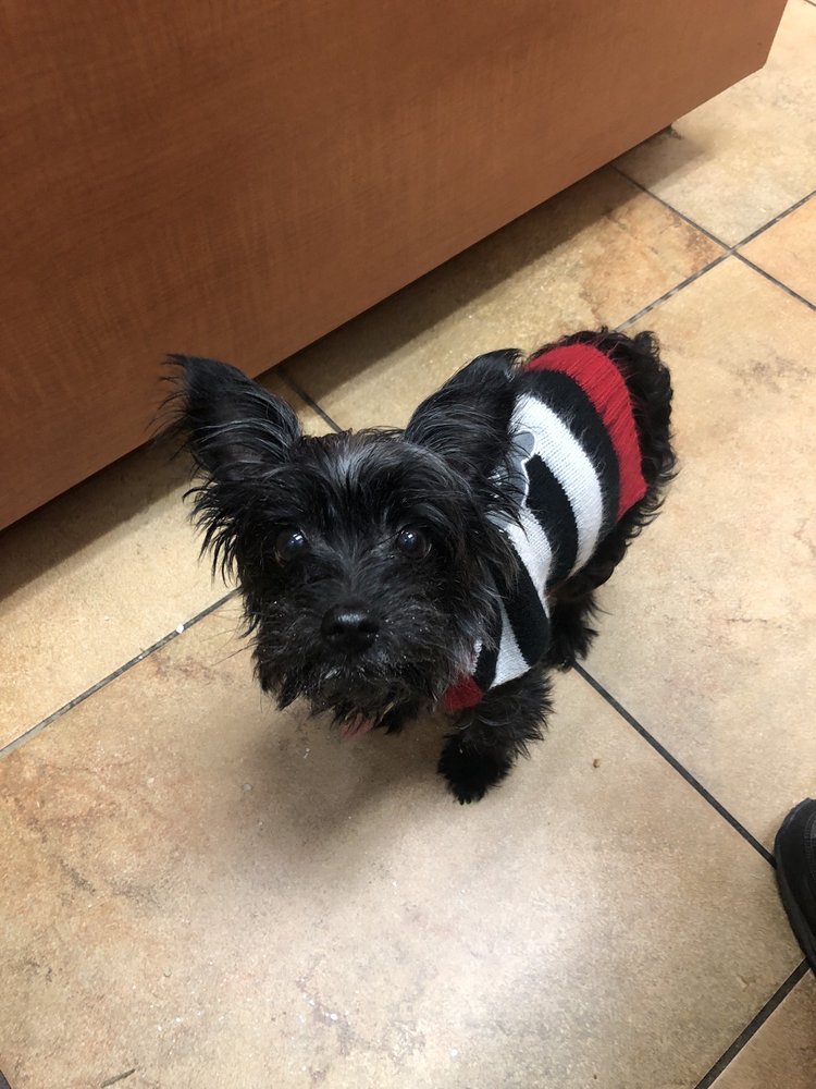 WEST ORANGE VETERINARY HOSPITAL Updated September 2024 10 Photos