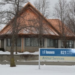 Toronto Animal Services East Shelter - 821 Progress Ave