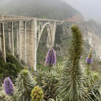 Bixby Bridge - Flora Juxtaposition - Landmarks & Historical Buildings Near Me - Monterey, California