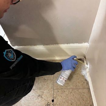 ProPestClean Pest Control - Pest Control Near Me - Burnaby, British Columbia ProPestClean Pest Control - Pest Control Near Me - Burnaby, British Columbia