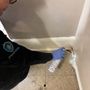 Photo of ProPestClean Pest Control