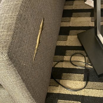 M Hotel Buffalo - Ripped couch - Hotels Near Me - Buffalo, New York M Hotel Buffalo - Ripped couch - Hotels Near Me - Buffalo, New York