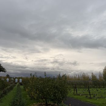 Caymus Suisun Winery - Wine Tasting Room Near Me - Fairfield, California