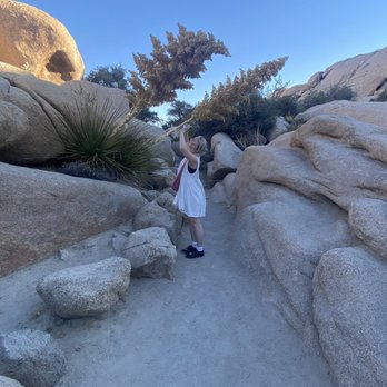 Barker Dam Trail - Hiking Near Me - Joshua Tree, California