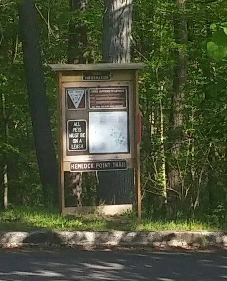 Hemlock Point Image