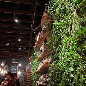 Pigtails - The living wall - Cocktail Bars Near Me - Phoenix, Arizona Pigtails - The living wall - Cocktail Bars Near Me - Phoenix, Arizona