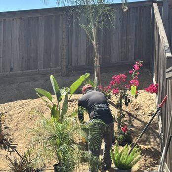 Ve Landscaping - Landscaping Near Me