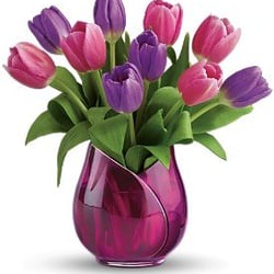 Red Rose Florist