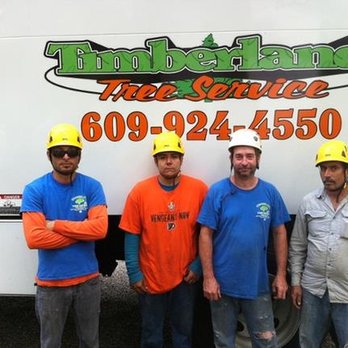 Timberland Tree service - untitled - Tree Services Near Me - Princeton, New Jersey Timberland Tree service - untitled - Tree Services Near Me - Princeton, New Jersey