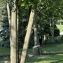 Photo of Addison Tree & Outdoor Services