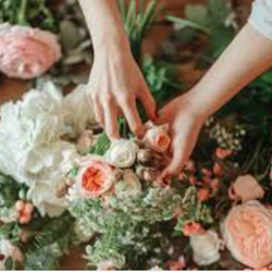 Aster Lane Floral