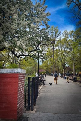 Tompkins Square Park by null